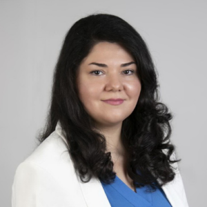 Dr. Nasim Bahari., Ph.D., PMP., CSM.